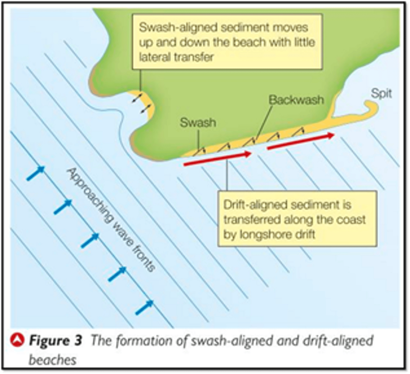 <p>- smoothly curving concave beaches<br> <br>- beach face is orientated parallel to the front of the dominant waves <br><br>- sheltered beaches in bays, gets, etc<br>.<br>- sediment remains largely in place, only goes back and forth</p>
