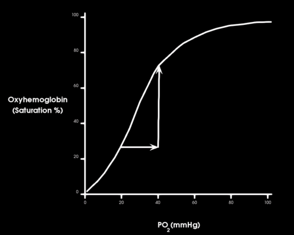 <p>hgb is 90% saturate at what Po2</p>