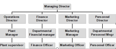 <p>groups employees based on their job roles, utilising there specialisation and efficiency within specific areas such as marketing, finance, or production.</p><p>advantages: increased efficiency, clear career paths, and effective management of specialists. </p><p>disadvantages: potential for poor inter-departmental communication, and rigidity in adapting to changes. </p>