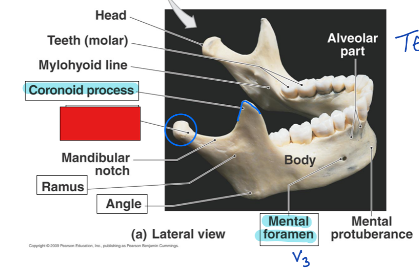 <p>fill in the red box:</p>