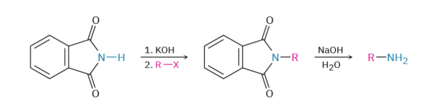 <p>Gabriel amine synthesis</p>