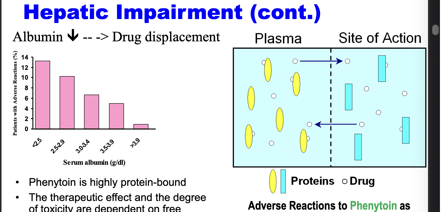 <ul><li><p>phenytoin is <u>highly protein bound</u></p></li><li><p>therapeutic effect and the degree of toxicity are dependent on free phenytoin concentration which is turn depend on the albumin binding</p><ul><li><p>less albumin → greater drug displacement → more adverse rxns</p></li></ul></li></ul><p></p>