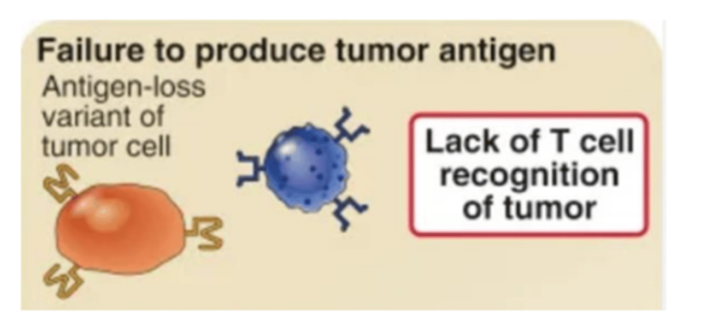 <p>lack of T cell recognition of tumor</p>