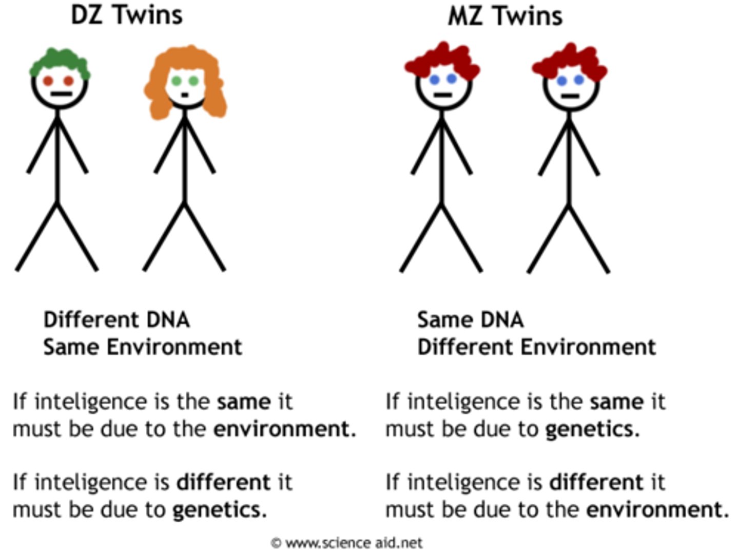 <p>hereditary influence is assessed by comparing the resemblance of identical twins and fraternal twins with respect to a trait</p>
