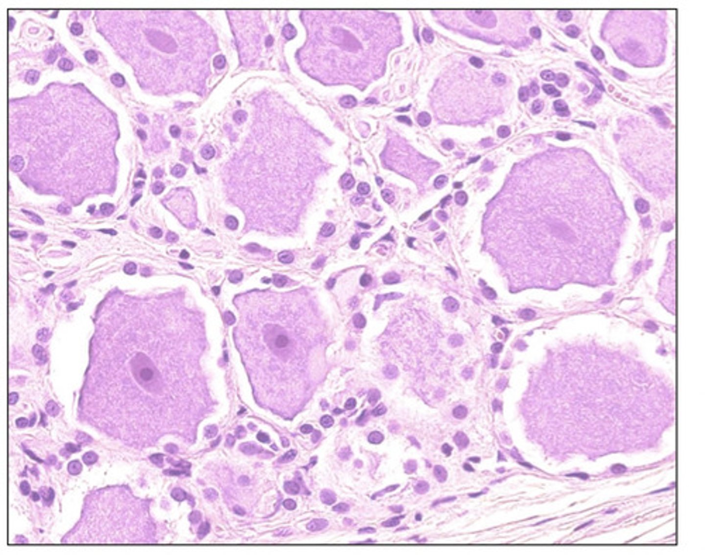 <p>what is this a section of?</p>