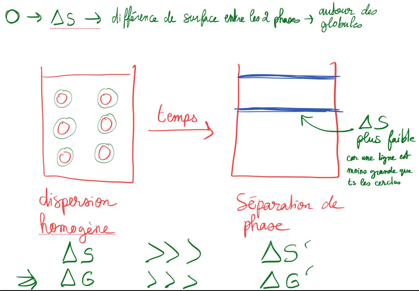 <p>Si on ajoute des agents de surface comme les micelles, les tensioactifs se mettent autour de chaque globule et réduisent l’énergie du système </p><ul><li><p><span>Tension interfaciale de l’eau = 50 mN/mètre</span></p></li><li><p><span>Tension interfaciale + tensioactif = 20 mN/mètre → énergie plus faible → plus stable → favorable → donc on reste plus longtemps dans la forme normale </span></p></li></ul><p></p><p><em>* Tension interfaciale = tension à l’interface entre la phase dispersée et la phase dispersante </em></p>