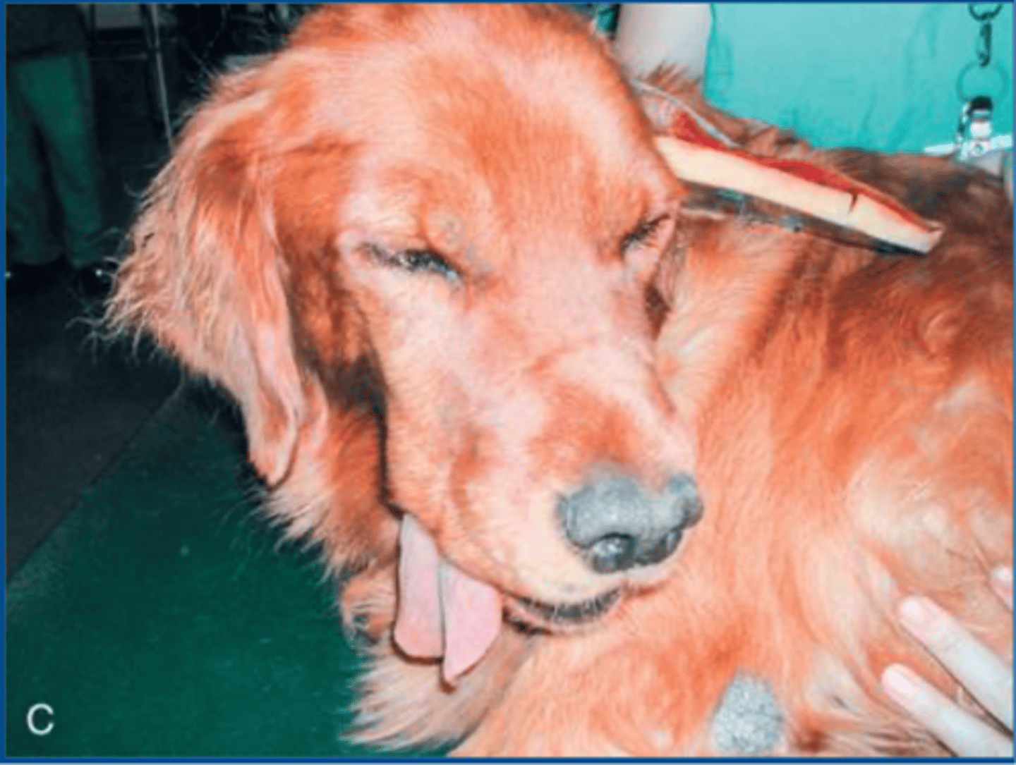 <p>what procedure is shown here</p>