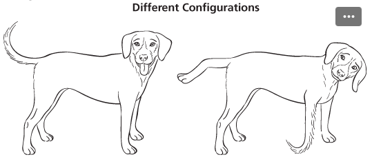 <p>different compounds (ex. cis and trans isomers)</p><p>can be separated from each other</p><p>bonds have to be broken to interconvert compounds with different configurations </p>