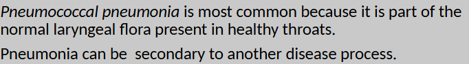 <p>pneumococcal pneumonia</p>