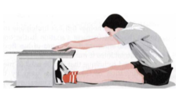 <p><strong>Sit and reach test</strong></p><p>Position: L<span>ong sitting </span></p><p>Instruction:  Reach forward with both hands as far as possible, without flexing your knees. </p><p>Record the distance.</p>