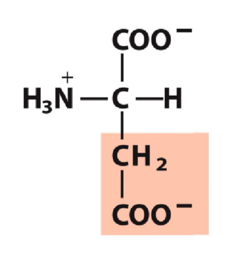 <p>Negative, pKa 3.65</p>