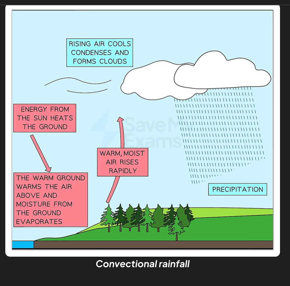 <p>Ground heats air above it and moisture from ground evaporates. Warm moist air rises rapidly which cools,condenses to form clouds so that precipitation occurs.</p>