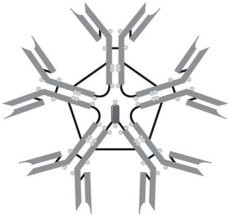 <p><span>The type of immunoglobulin illustrated in Figure 16.1 is</span></p>