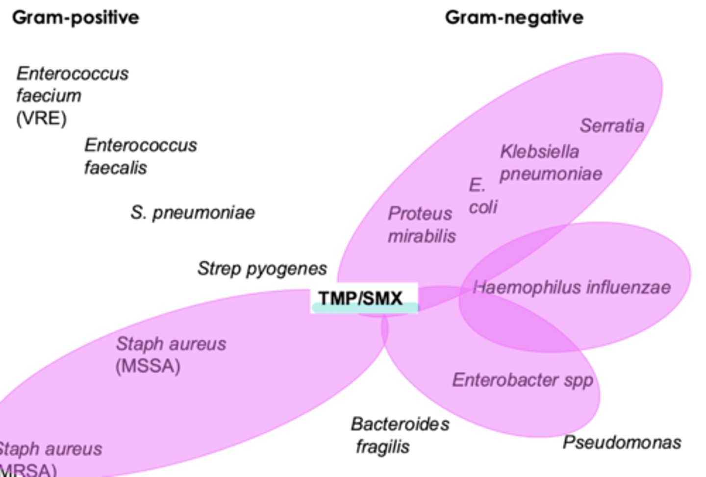 <p>- broad spectrum</p><p>- gram + (including MRSA)</p><p>- gram - (including strenotrophomonas &amp; legionella &amp; pneumocystis jirovecii) </p><p>**NO strep coverage </p>