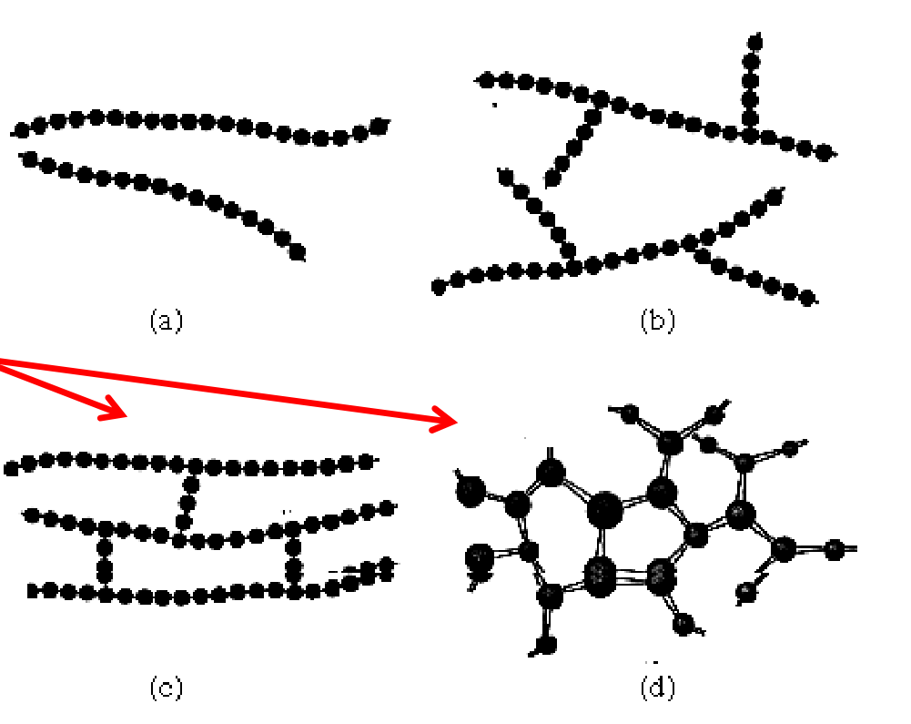<p>a.) Linear polymer (straight line)</p><p>b.) Branched polymer (branches)</p><p>c.) Cross linked polymer </p><p>d.) Network polymer</p><p></p>