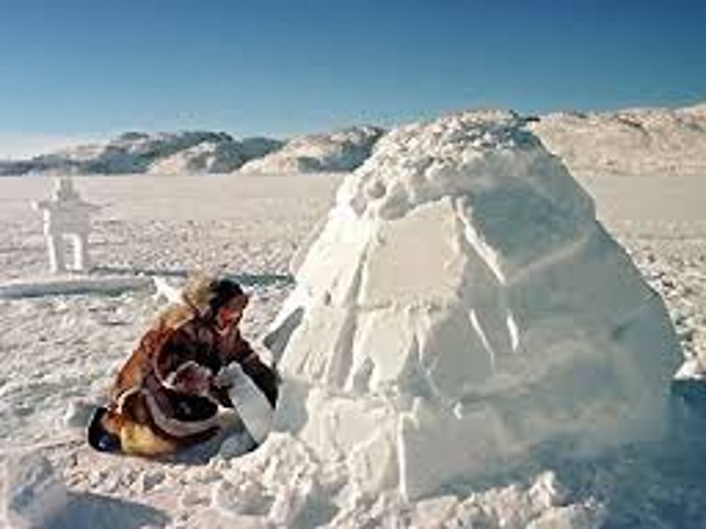 <p>A member of a people inhabiting the Arctic (northern Canada or Greenland or Alaska or eastern Siberia)</p>