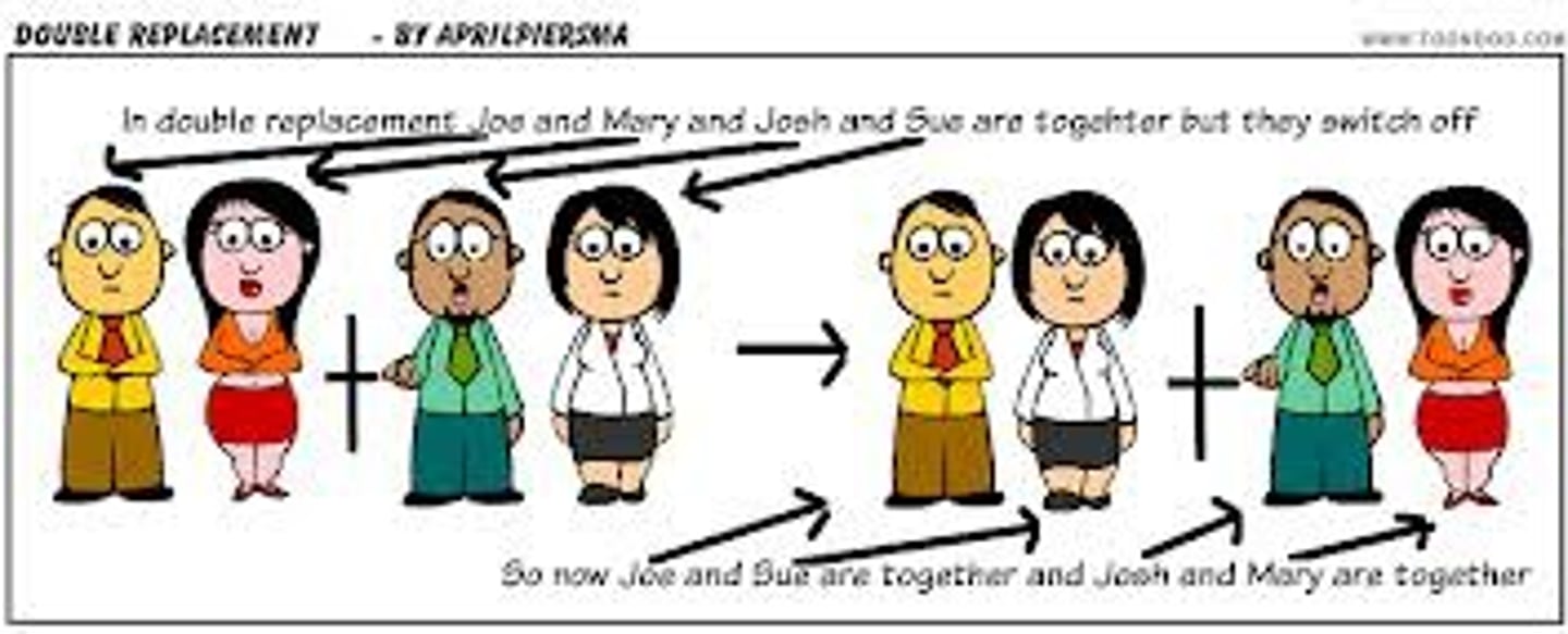 <p>a chemical reaction where two elements in different compounds trade places</p>
