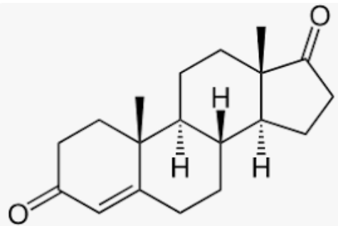 <p>btw progesterone and testosterone </p>