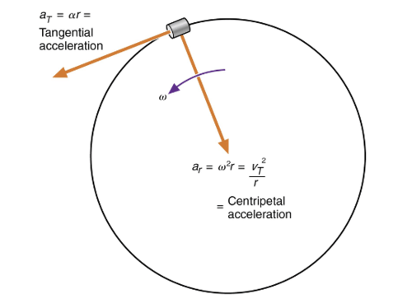 <p>Linear acceleration of a point on a rotating object measured in the direction perpendicular to the circular path of the object (along a line through the axis of rotation)</p>