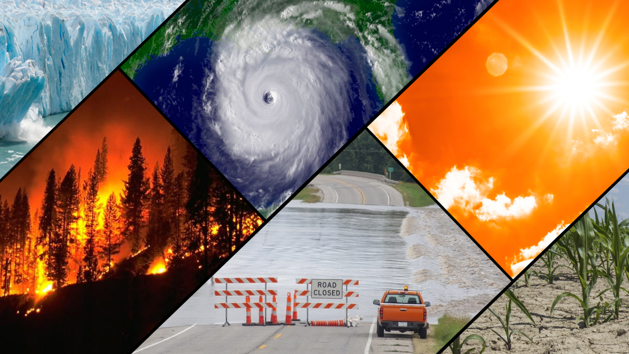 <p>(n) Scientists warn that the ____ demands immediate</p><p>global action.</p>