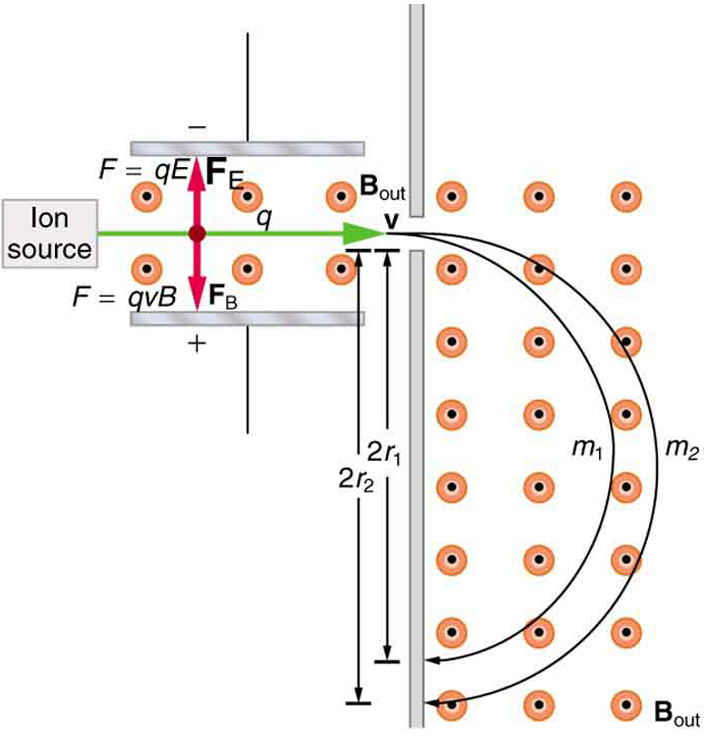 <ul><li><p>A source fires ions into a velocity selector </p></li><li><p>Ions with the wanted speed pass through the selector</p></li><li><p>So, now all the ions have the same speed (<em> v=E/B</em>)</p></li><li><p>Ions now move into a strong perpendicular magnetic field with a known magnetic flux density </p></li><li><p>In the magnetic field, they travel on circular paths until they hit a detector </p></li><li><p>The distance from where they enter the field to where they hit the detector is <em>2r </em>(measuring this the radius can be found)</p></li></ul><p></p>