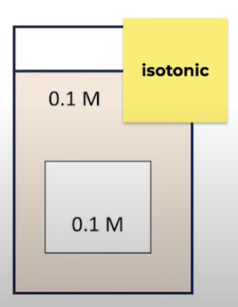 <p>Solution has <strong>same</strong> <strong>solute</strong> <strong>conc</strong> to what it is being compared to</p><ul><li><p>No net movement of water</p></li></ul><p></p>