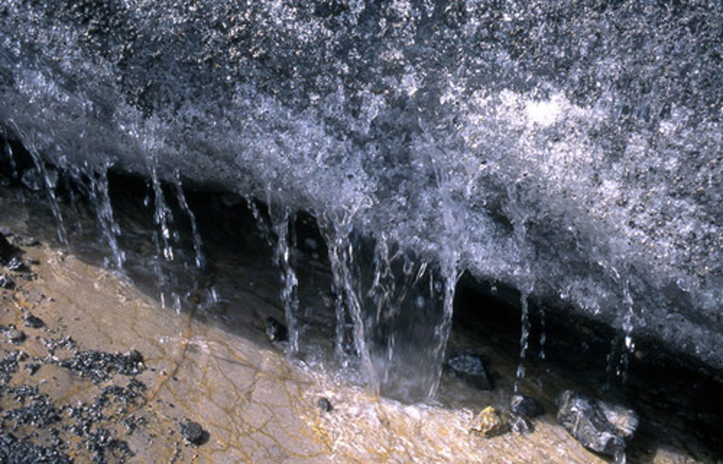 <p>제거,절개수술</p>