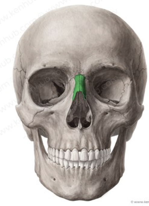 what is the green 