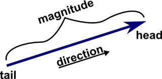 A quantity that has magnitude and direction