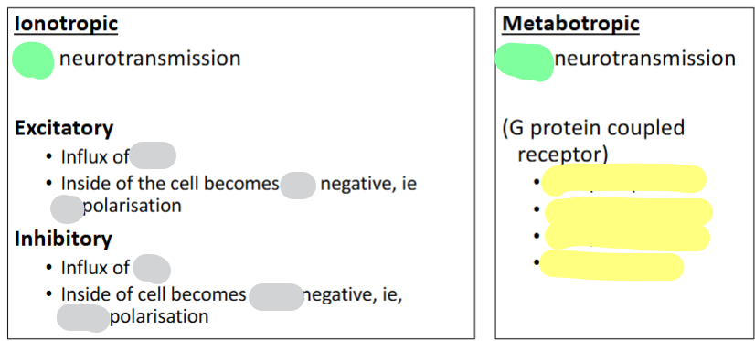 <p>Grey: fill in blank</p><p>Green: Fast/Slow</p><p>Yellow: Give 4 examples</p>