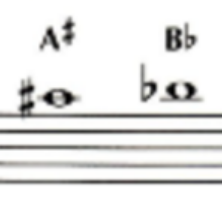 <p>A#/Bb</p>