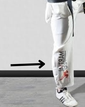 <p>Key to retaining balance, the _____ takes 100% of the weight with emphasis</p>