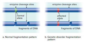 Use of a genetic marker to test for a genetic mutation.
