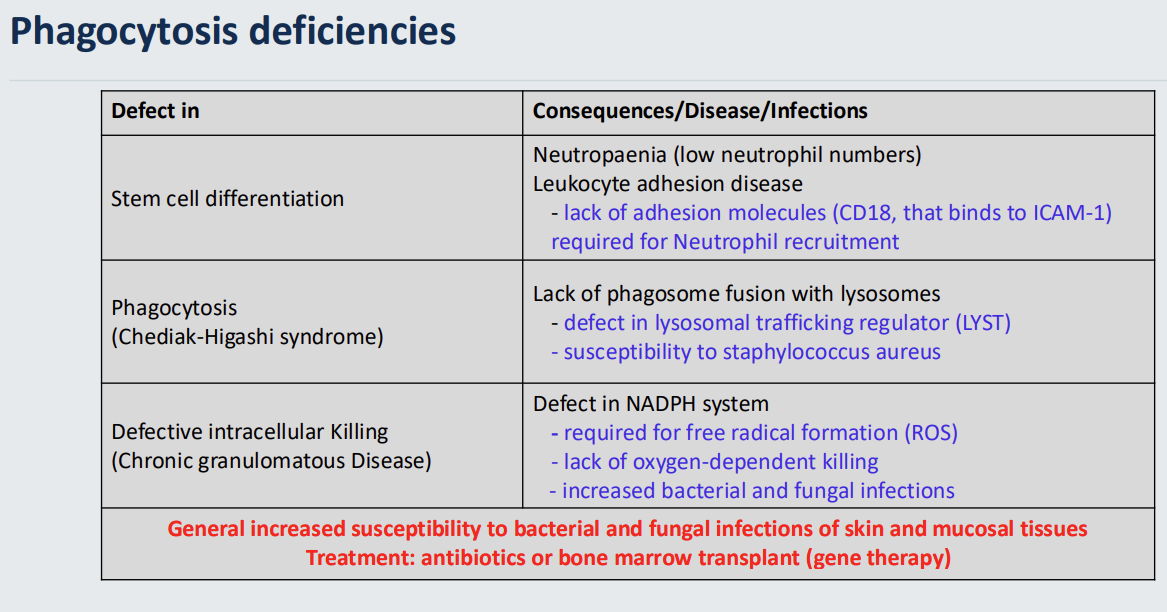 <p><u>intrinsic </u>deficiencies - deficiencies in the <em>actual cells</em> that perform the phagocytosis functions</p><p>General increased susceptibility to bacterial and fungal infections of skin and mucosal tissues</p><p><em><mark data-color="#c4e8ff" style="background-color: rgb(196, 232, 255); color: inherit;">Treatment: antibiotics or bone marrow transplant (gene therapy)</mark></em></p>