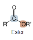 <p>Ester</p>