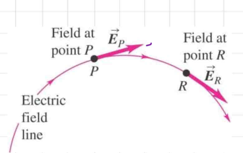 <p>electric field line</p>