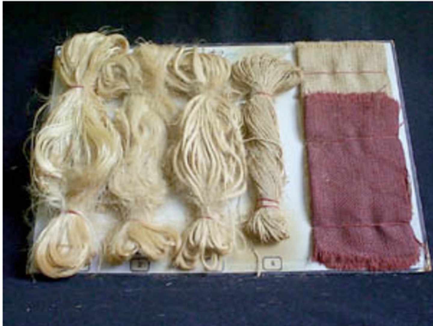 <p>-Made of cellulose</p><p>- cotton</p><p>- hemp</p>