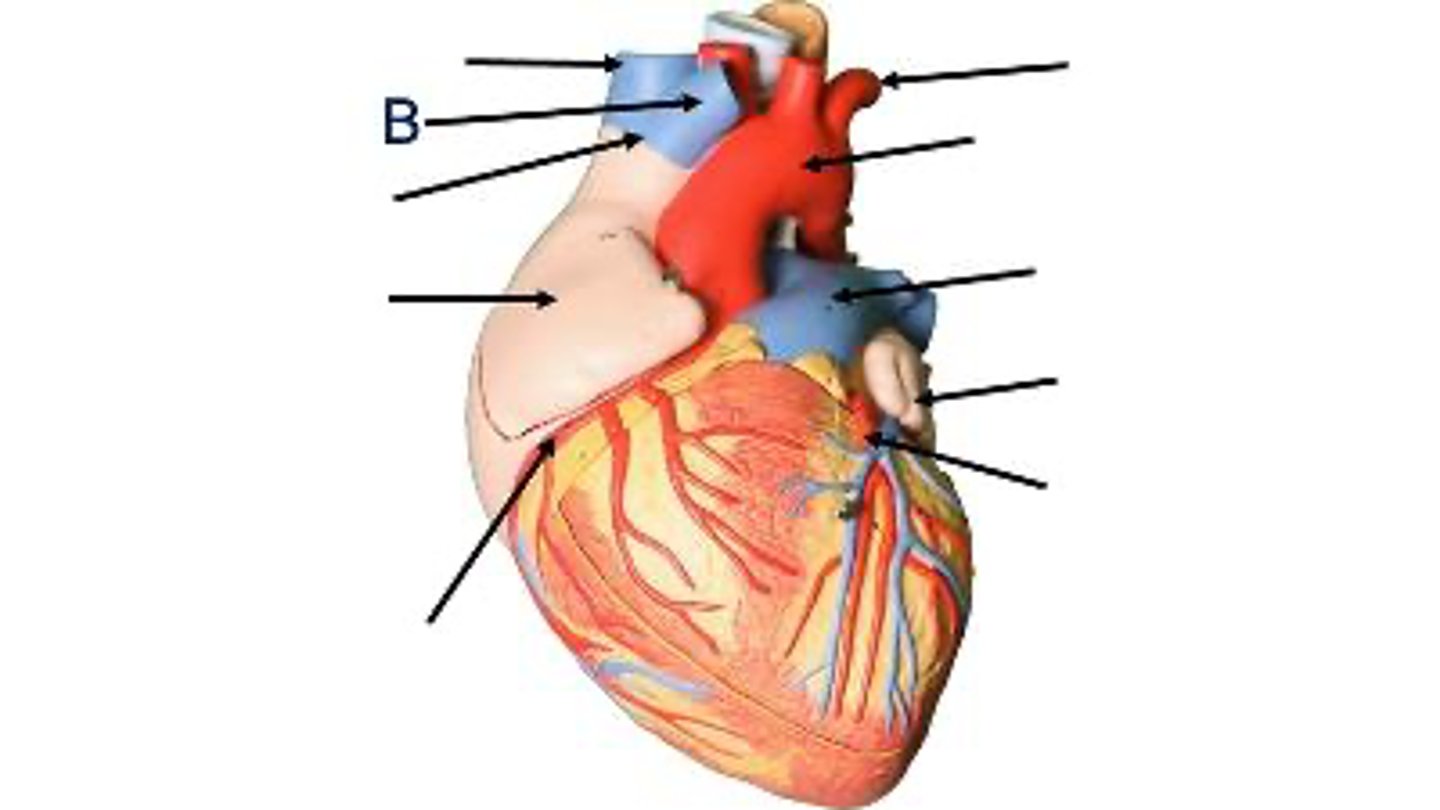 <p>What is this?</p>