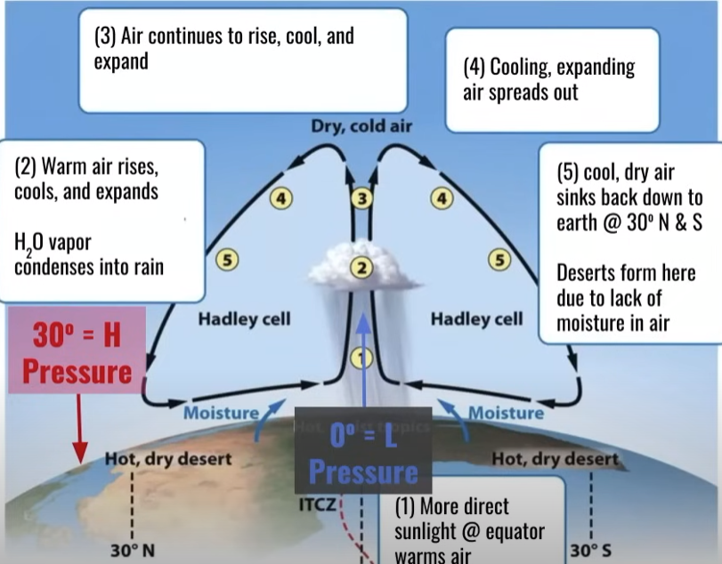 <ol><li><p>More direct sunlight at equator warms air</p></li><li><p>warm air rises, cools, and expands, H20 vapor condenses into rain</p></li><li><p>air continues to rise, cool, and expand</p></li><li><p>cooling, expanding air spreads out</p></li><li><p>cool, dry air sinks back down to earth @30degrees N and S</p><ol><li><p>deserts form here due to lack of moisture in air</p></li></ol></li></ol><ul><li><p>air moves from high to low pressure so air along earth’s surface flows from 30degrees back to the equator (0 degrees)</p></li></ul><p></p>
