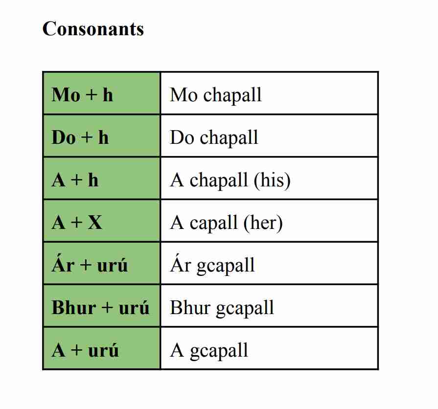 <p>After each possessive adjective, there is usually a change to the word after. The change that takes place depends on whether the word starts with a consonant or vowel</p>