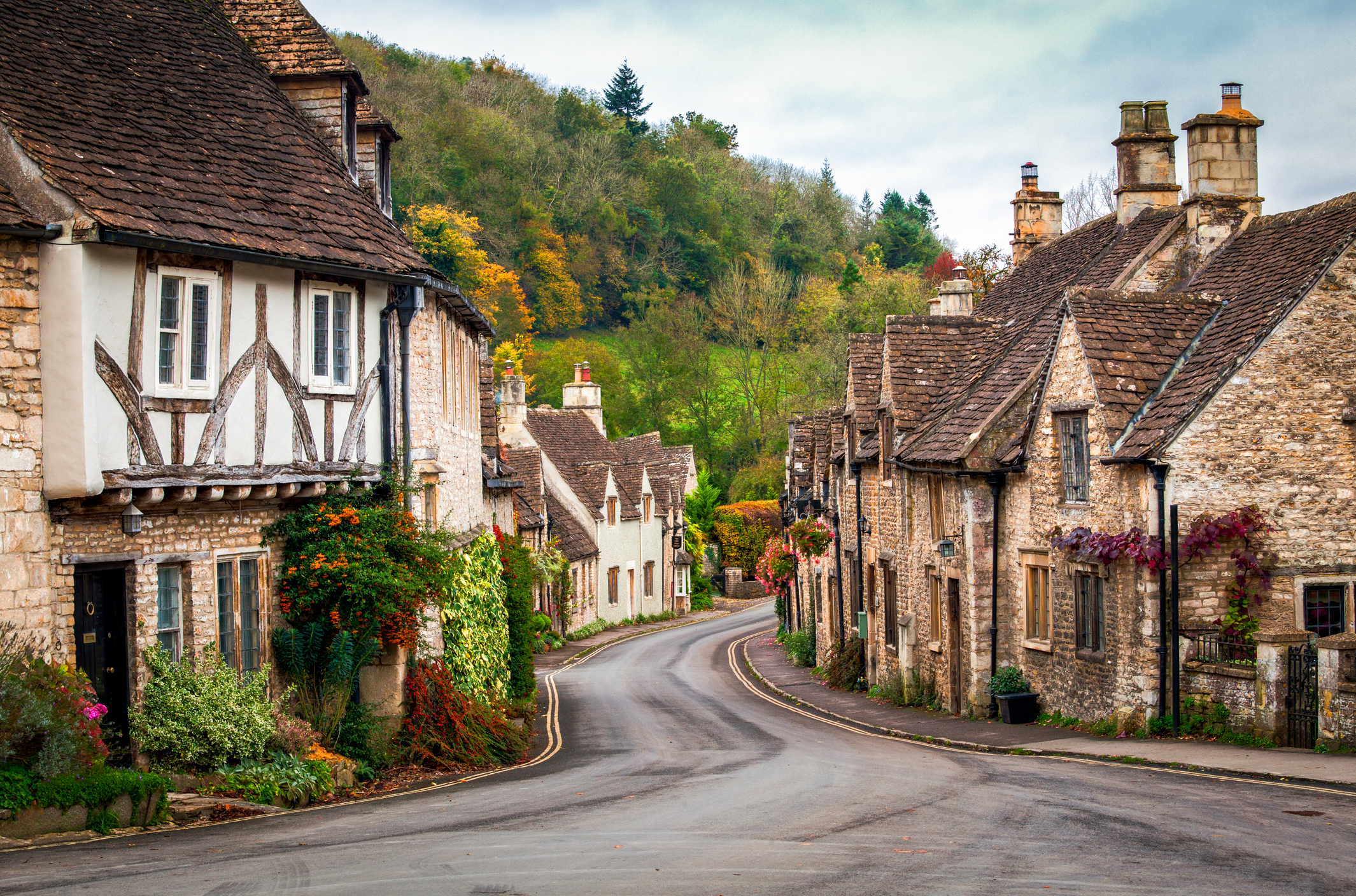 <p>Village</p>