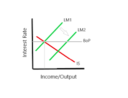 <p>economic theory or economic model</p>