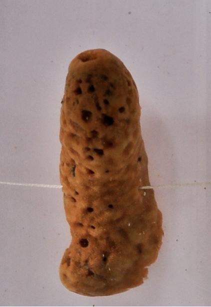 <p>what is this</p><p></p>