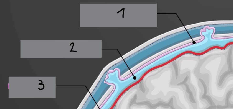 <p>2</p>