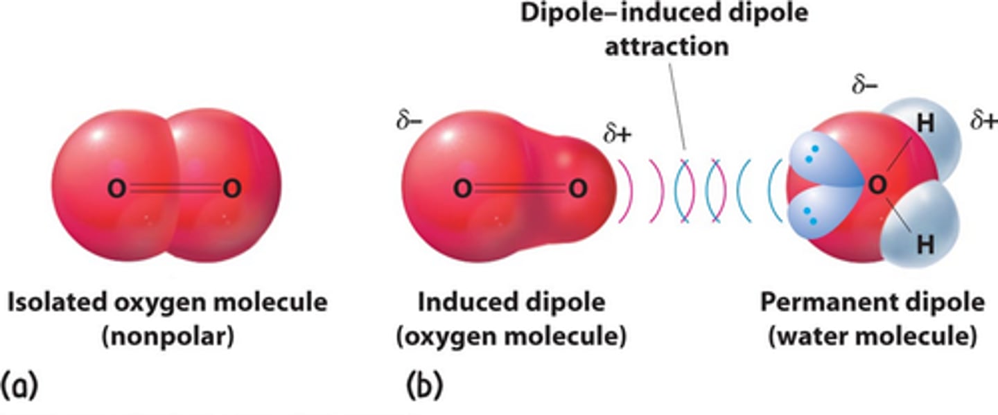 <p>A permanent dipole can induce a dipole in a non-polar molecule due to the difference in charge causing an attraction between them <br>E.g. HCl polar &amp; Cl2 non-polar</p>