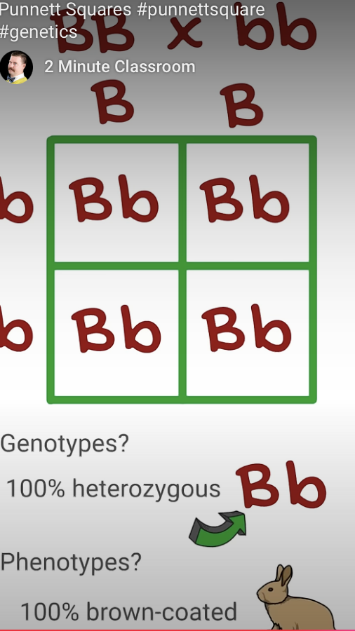 <p>What is a Punnett square? Be able to use one on the exam. Be able to calculate genotypic and phenotypic ratios based on the type of inheritance.</p>