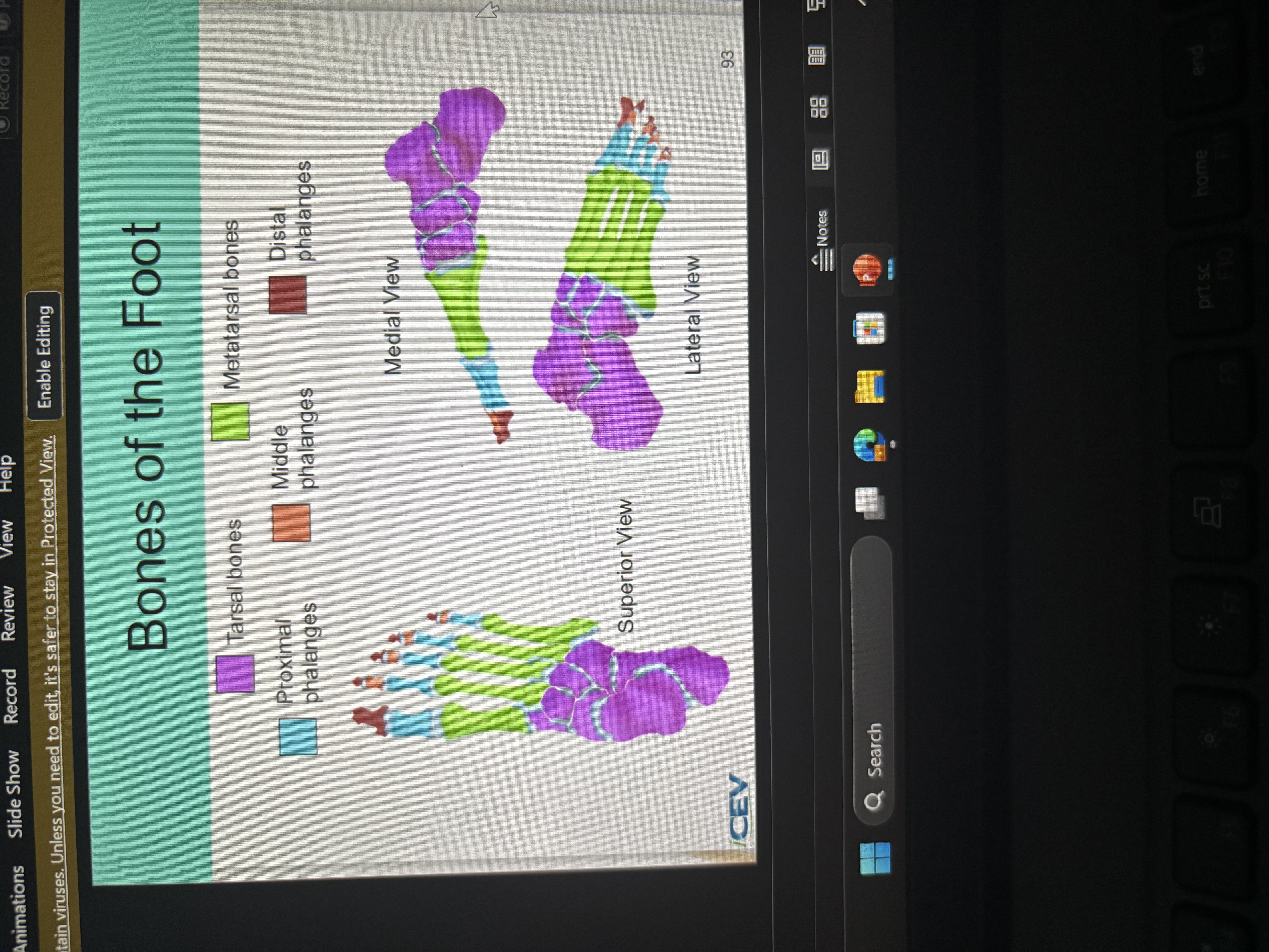 knowt flashcard image