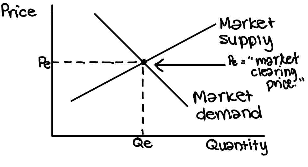 <p>Equilibrium</p>