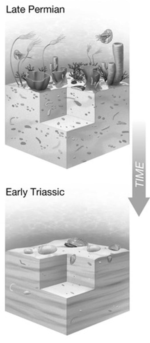 <p>It was caused by huge volcanic eruptions releasing massive amounts of CO2, causing extreme warming and acid rain, leading to low oxygen levels in the water and the collapse of ecosystems.</p>