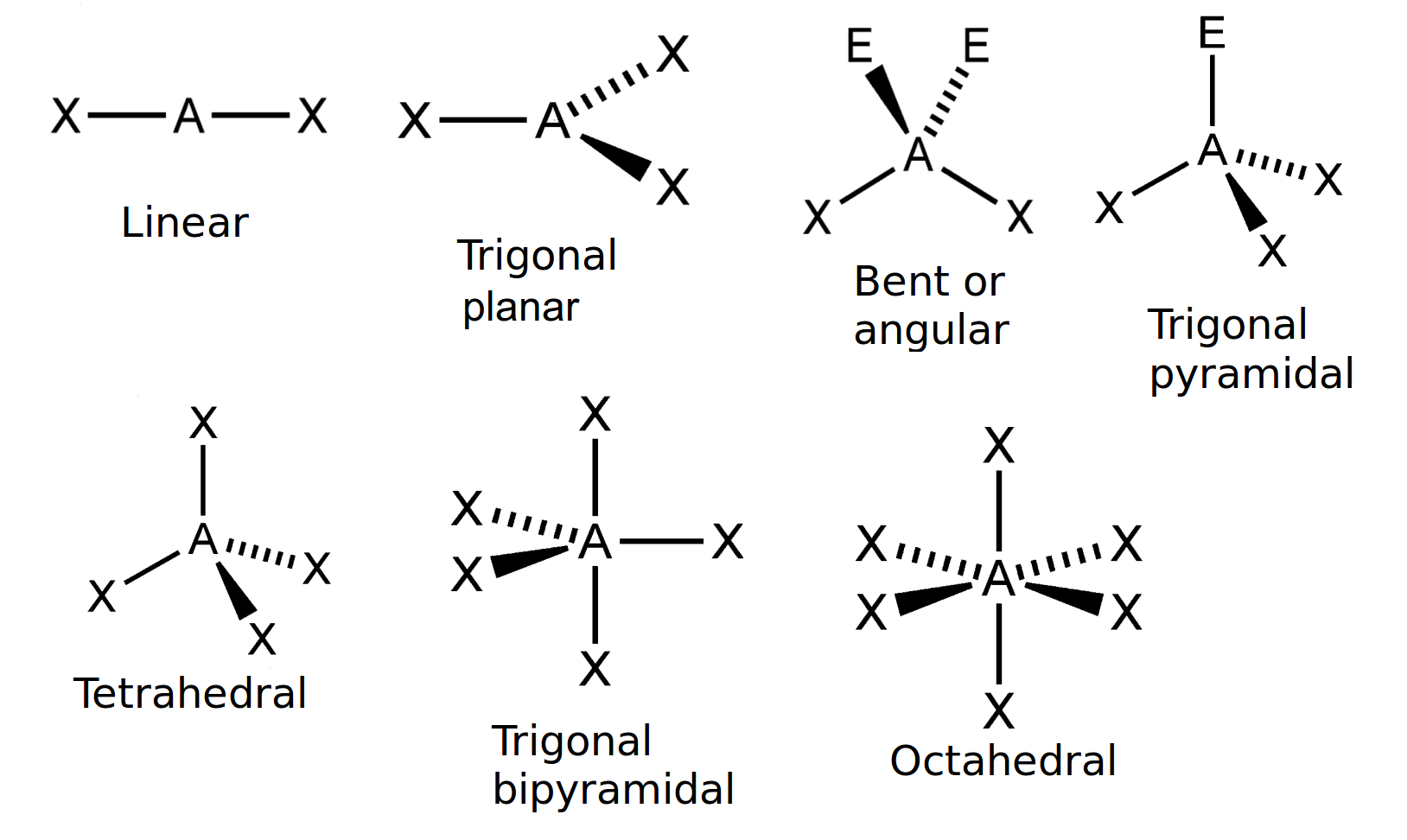 <p>-no of bonding pairs= 5</p><p>-no of lone pairs= 0</p><p>-bond angle= 90 degrees and 120 degrees</p><p>-example=PCl5</p>